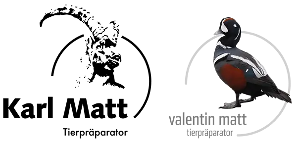 Logos Karl & Valentin Matt
